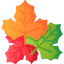 Dry leaves アイコン 64x64