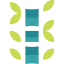 Bamboo icon 64x64