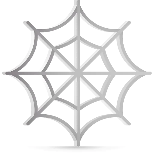 Spider web icon