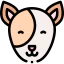 Dog icon 64x64