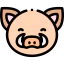 Wild boar icon 64x64