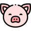 Pig icon 64x64