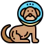 Dog icon 64x64
