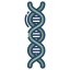 Dna icon 64x64
