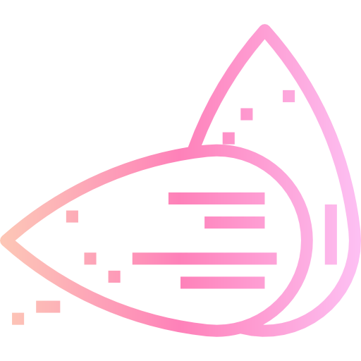 Nuts icon
