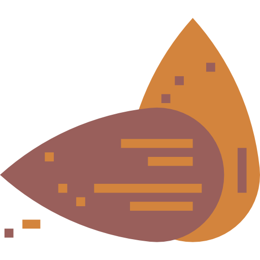Nuts icon