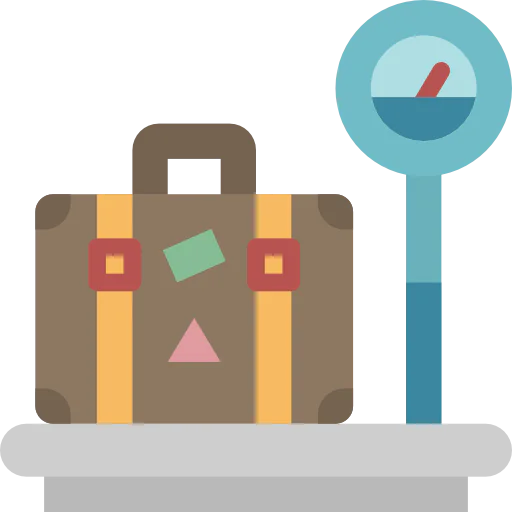 Scale icon