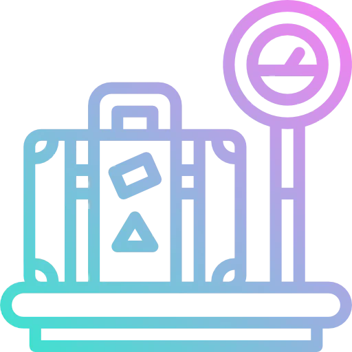 Scale icon