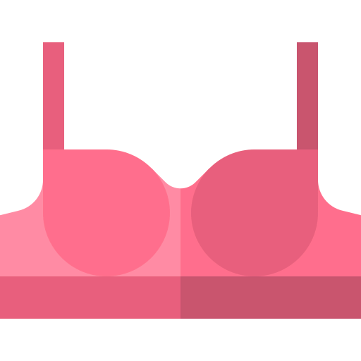 Bra icon