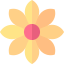 Flower icon 64x64