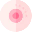 Breast icon 64x64