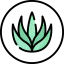 Aloe vera icon 64x64