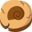 Fossil icon 64x64