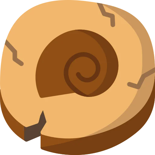 Fossil icon