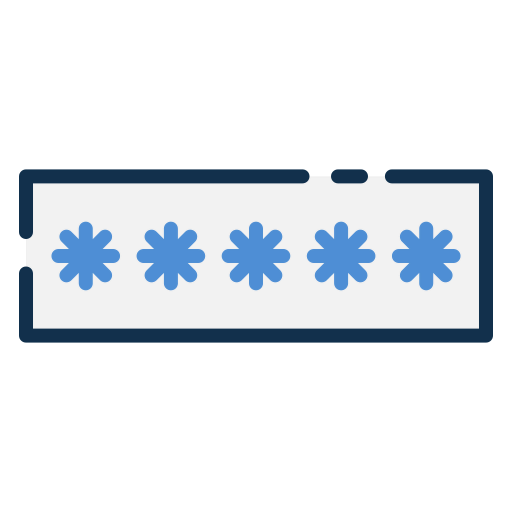 Password icon