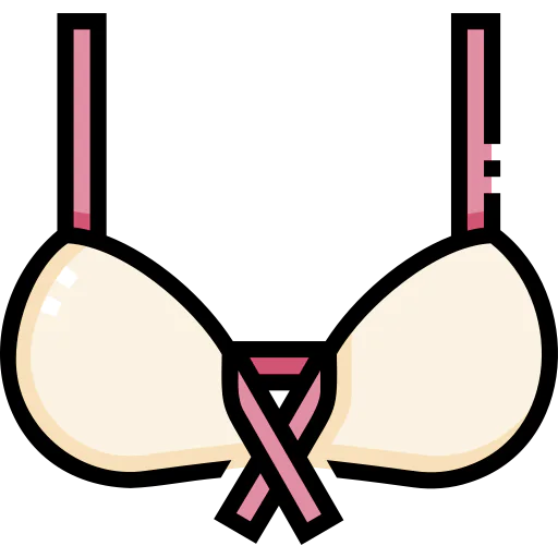 Bra icon