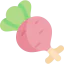 Radish icon 64x64