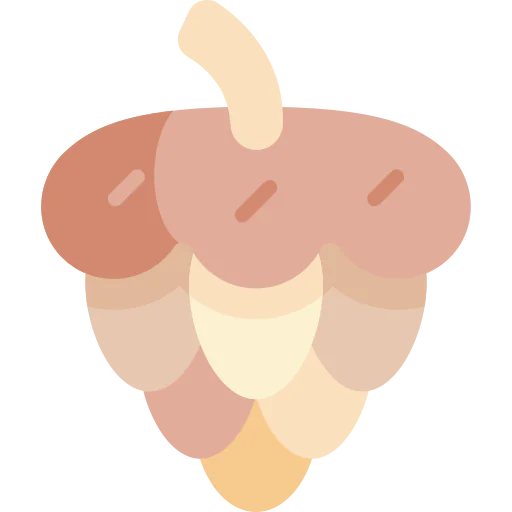 Pine cone icon