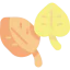 Leaves icon 64x64