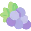 Grapes icon 64x64