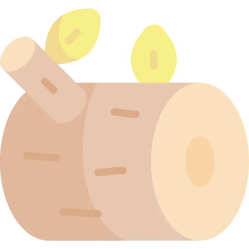 Log icon