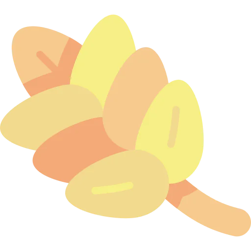 Wheat icon