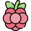 Berry icon 64x64
