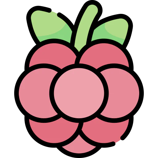 Berry icon