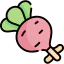 Radish icon 64x64