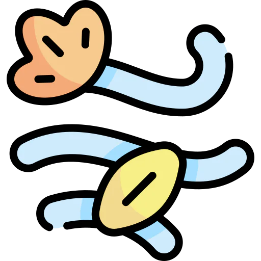 Wind icon