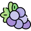Grapes icon 64x64