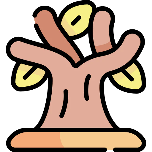 Dry tree icon
