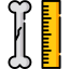 Bone icon 64x64