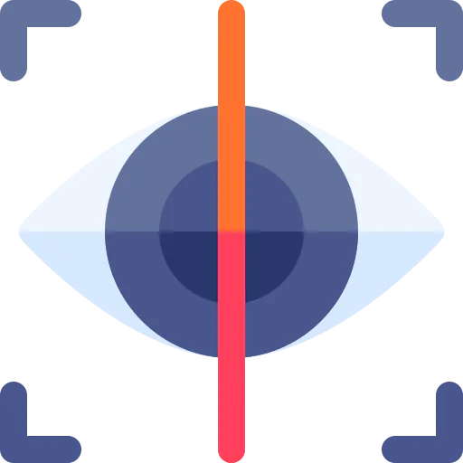 Iris recognition icon