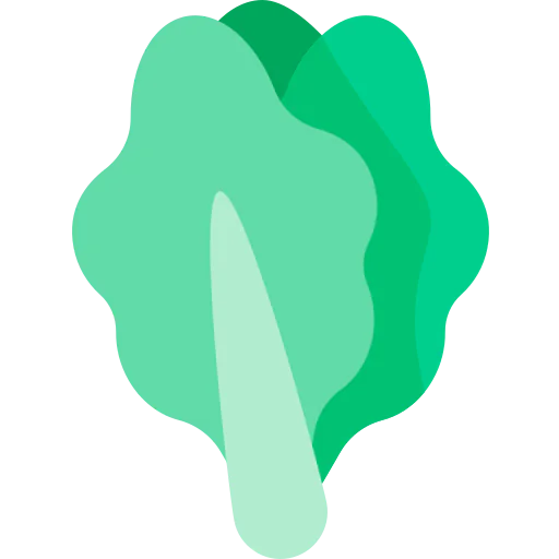 Lettuce icon