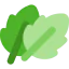 Leaves icon 64x64