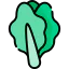 Lettuce icon 64x64