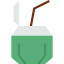Coconut drink icon 64x64