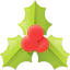Mistletoe icon 64x64