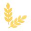 Wheat icon 64x64