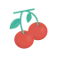 Cherries アイコン 64x64