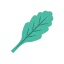 Oak leaf іконка 64x64