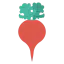 Turnip Ikona 64x64