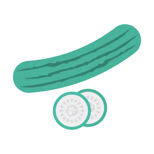 Cucumber icon