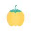 Capsicum icon 64x64