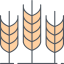 Wheat icon 64x64