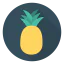 Pineapple icon 64x64