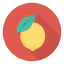 Lemon icon 64x64