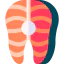 Salmon icon 64x64