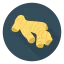 Ginger icon 64x64